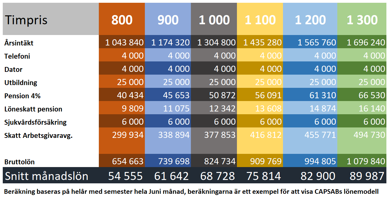 CAAPSAB lönemodell konsulter